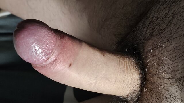 Bilden3