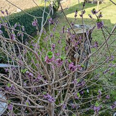IMG20240216110735.jpg