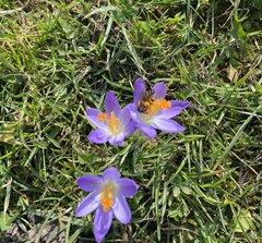 IMG_8761.jpeg