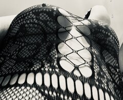 IMG_4588.jpeg