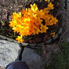 IMG20240225111103.jpg