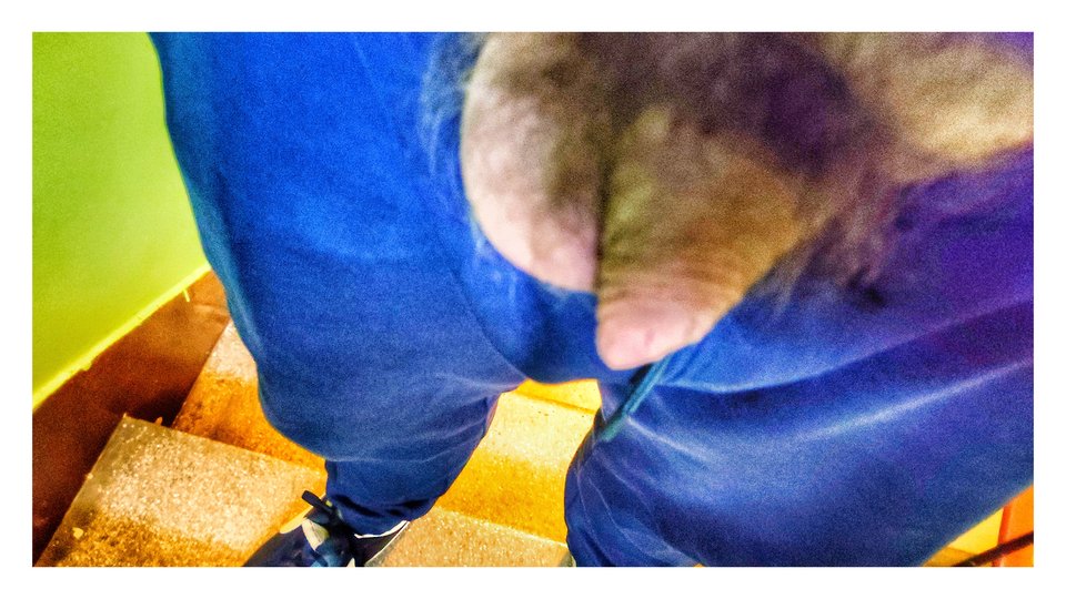 1709062834317-01.jpeg - PuszystyLubuskie