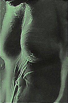 A1.jpg
