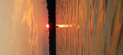 IMG_20230819_194449.jpg