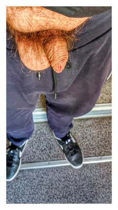 1709372567184-01.jpeg