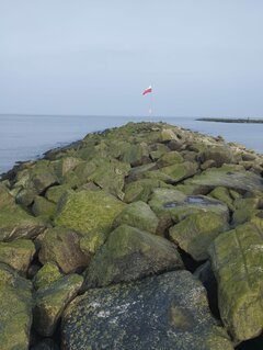 IMG-20240302-WA0055.jpg