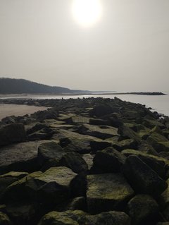 IMG-20240302-WA0054.jpg