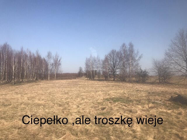 Aniolmak