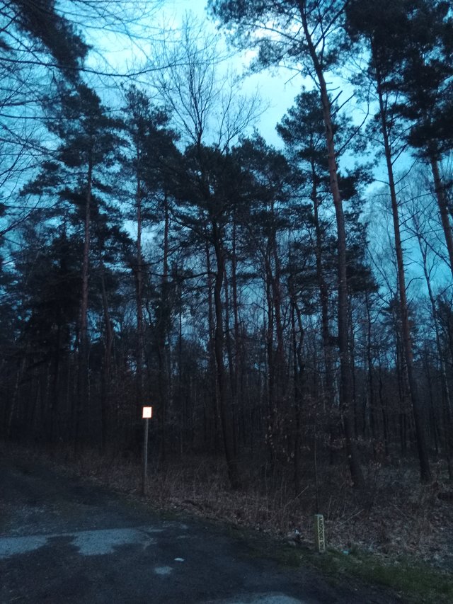 genesis_