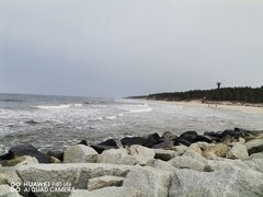 IMG_20240306_145315.jpg
