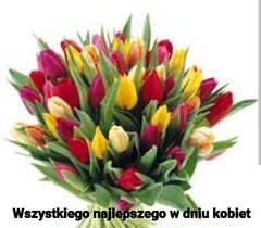 IMG-20230308-WA0005.jpg