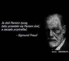 IMG_4255.jpeg