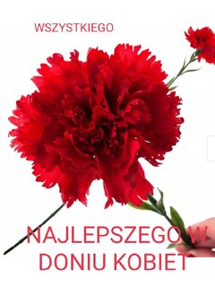 IMG_20240307_155204.jpg