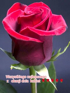 IMG_20240308_200329.jpg