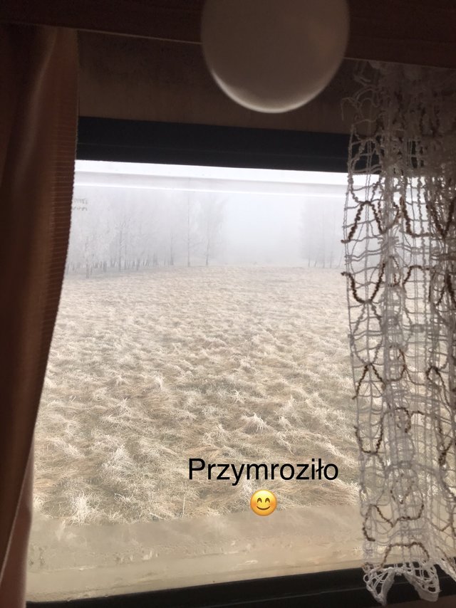 Aniolmak