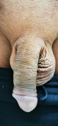 IMG_20240309_110750.jpg
