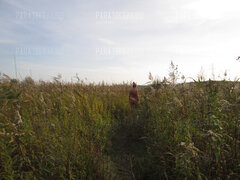IMG_1602.JPG