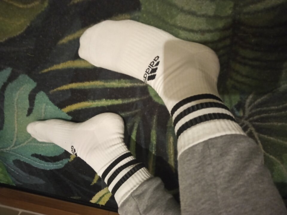 20230129_192621.jpg - Milu2