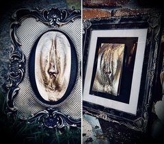 LACRIMA&LUXFERA