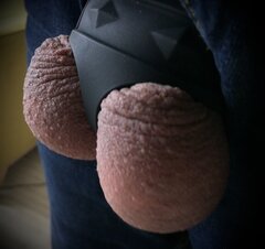 IMG_2408.jpeg