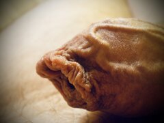 IMG_2412.jpeg