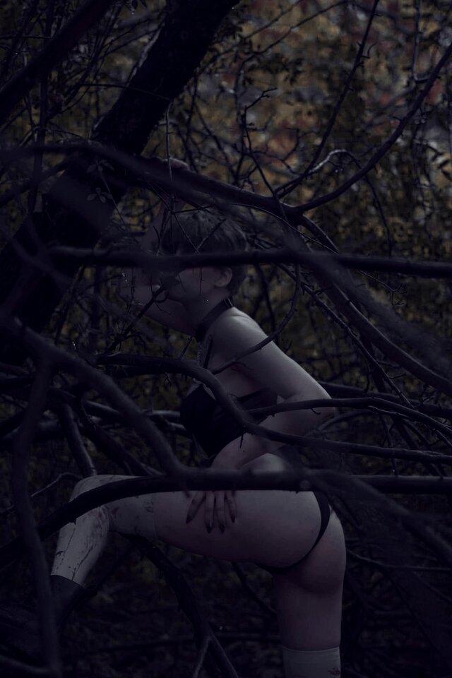 1000007107.jpg - Spiderlilly