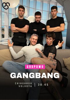 Gang Bang Chihuahua @JustYew