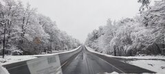 IMG_20231118_083619.jpg