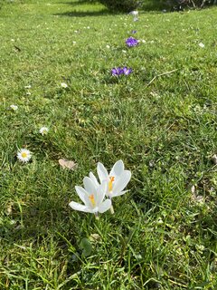 IMG_8969.jpeg