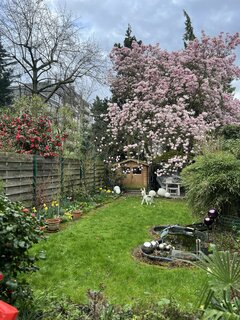 IMG_3024.jpeg