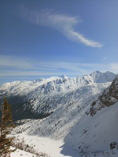 IMG_20240315_114724_314.jpg