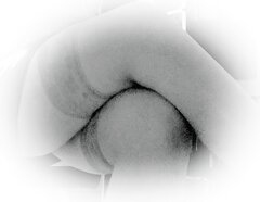 IMG_20240316_004641.jpg