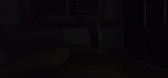IMG_20240316_025754.jpg