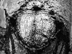 73BA9774-AFEF-4368-995E-75CE4A0269D2.jpeg