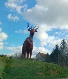 IMG_20240317_140951.jpg