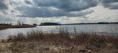 IMG_20240316_131130775_HDR.jpg