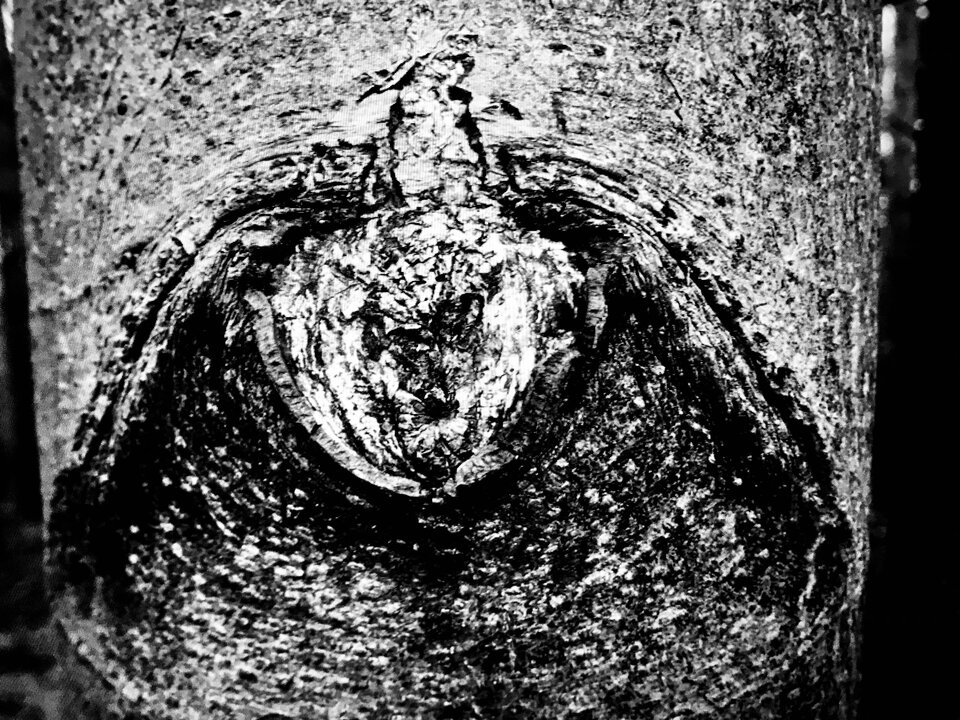 8116A79C-4198-47B9-B7ED-3ED33AC9B19E.jpeg - erwu73