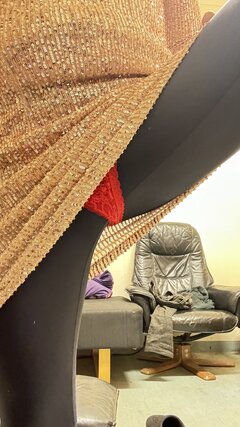 IMG_8267.jpeg