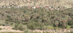 IMG_20240318_105536.jpg