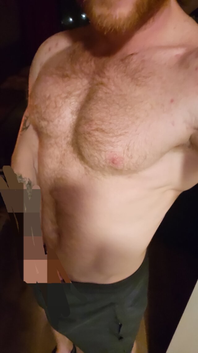 HornyPol