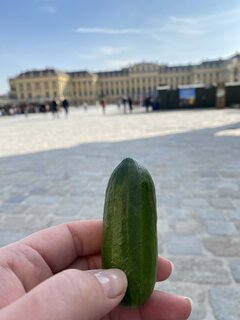 IMG_9039.jpeg