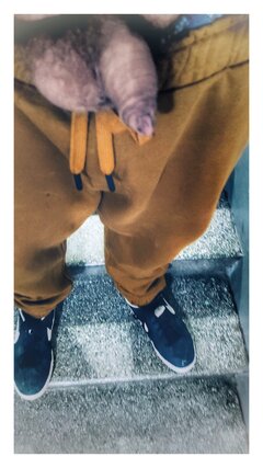 1711148414087-01.jpeg