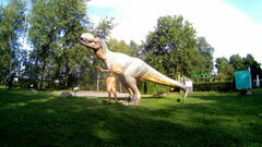 20220825_083740A.mp4_snapshot_00.36.674.jpg