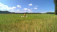 Czechy 20220904 (3).mp4_snapshot_00.27.703.jpg