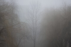 IMG_4882.JPG