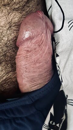 IMG_0276.jpeg