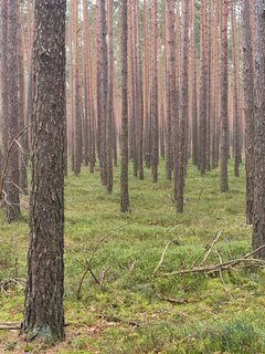 IMG_20240324_084407.jpg
