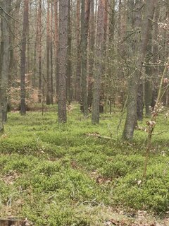 IMG_20240324_081912.jpg