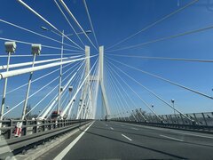 IMG_2427.jpeg