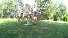 20170830_000002A.mp4_snapshot_00.27.523.jpg